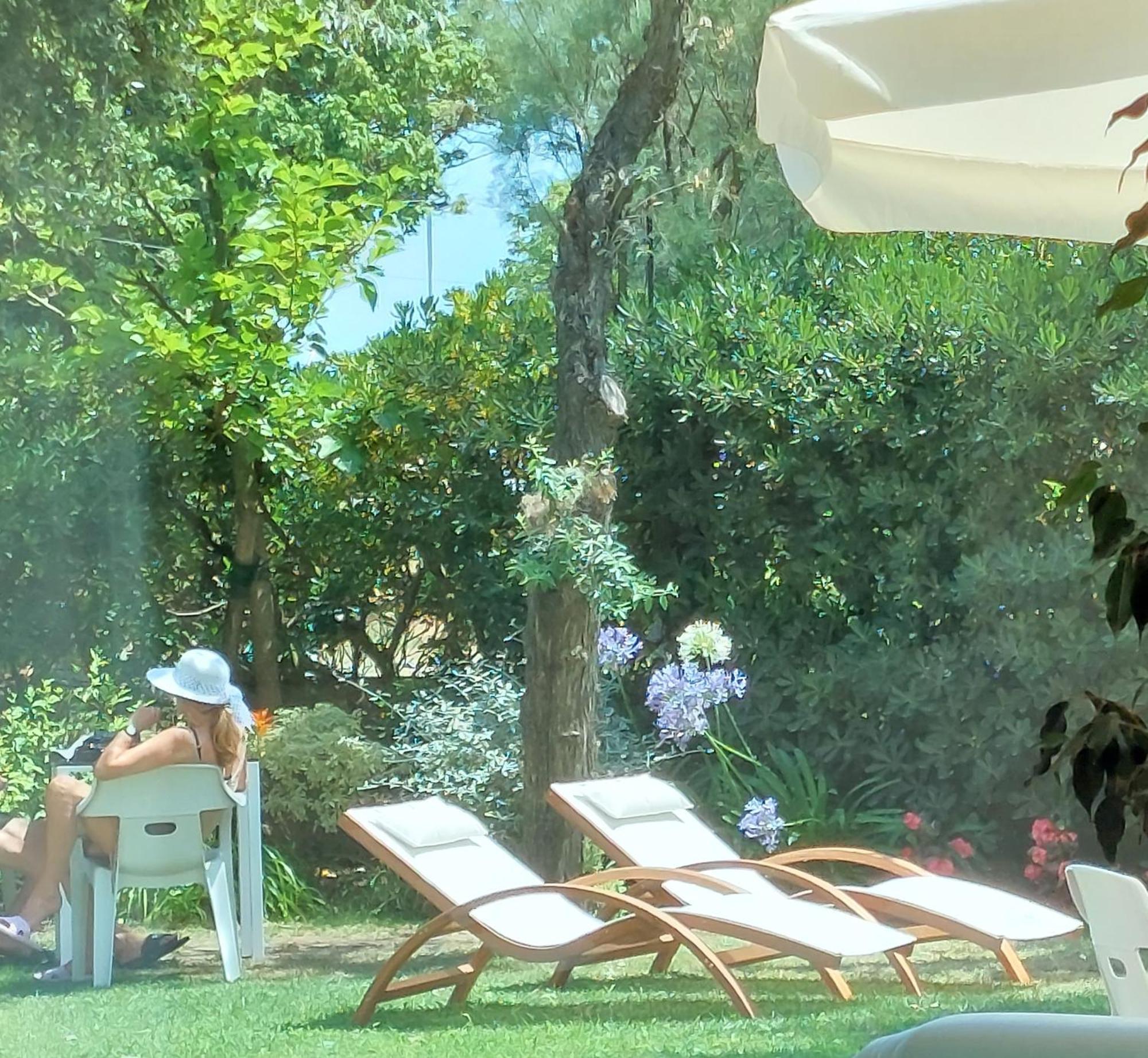 Hotel Astor B&B Lido di Classe Extérieur photo